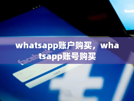 whatsapp账户购买，whatsapp账号购买