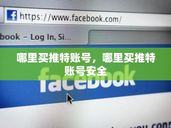 哪里买推特账号，哪里买推特账号安全