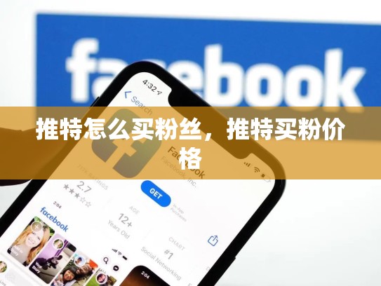 推特怎么买粉丝，推特买粉价格