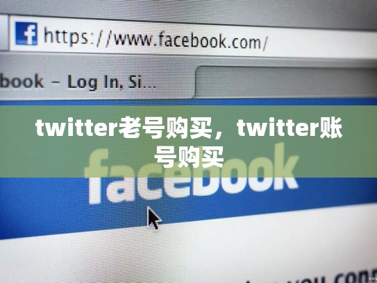 twitter老号购买，twitter账号购买