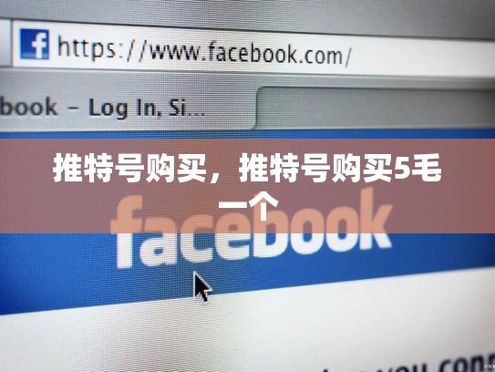 推特号购买，推特号购买5毛一个