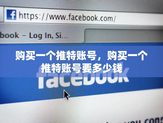 购买一个推特账号，购买一个推特账号要多少钱