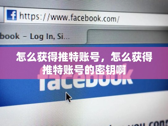 怎么获得推特账号，怎么获得推特账号的密钥啊