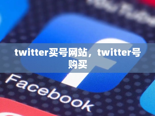 twitter买号网站，twitter号购买