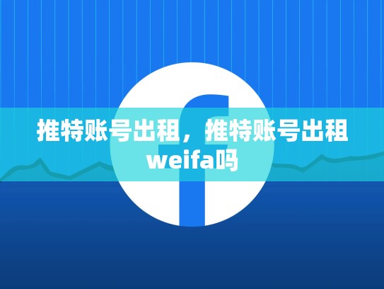 推特账号出租，推特账号出租weifa吗