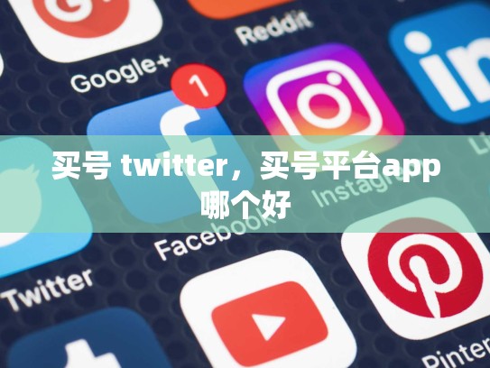 买号 twitter，买号平台app哪个好