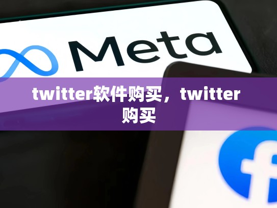 twitter软件购买，twitter 购买