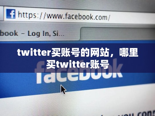 twitter买账号的网站，哪里买twitter账号