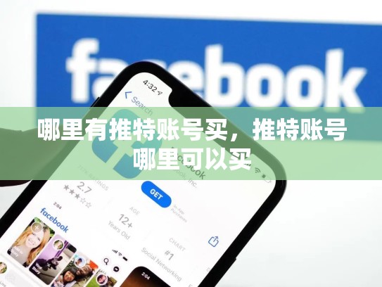 哪里有推特账号买，推特账号哪里可以买