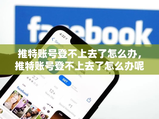 推特账号登不上去了怎么办，推特账号登不上去了怎么办呢