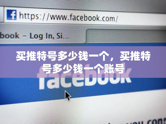 买推特号多少钱一个，买推特号多少钱一个账号