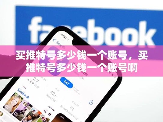 买推特号多少钱一个账号，买推特号多少钱一个账号啊