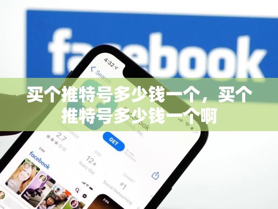 买个推特号多少钱一个，买个推特号多少钱一个啊