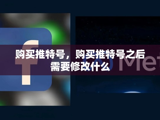 购买推特号，购买推特号之后需要修改什么