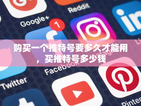 购买一个推特号要多久才能用，买推特号多少钱