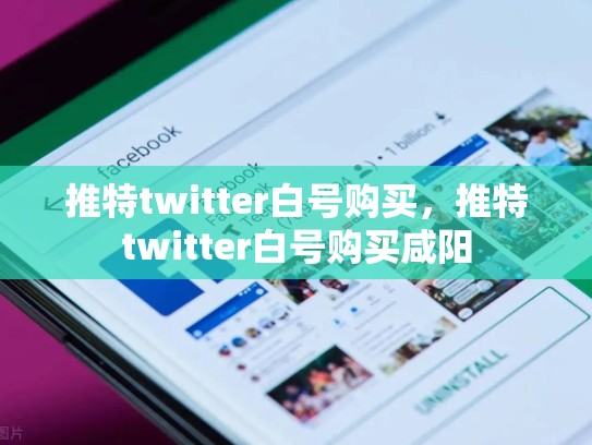 推特twitter白号购买，推特twitter白号购买咸阳