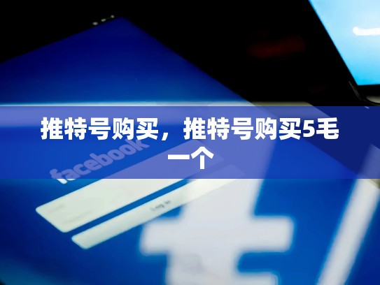 推特号购买，推特号购买5毛一个