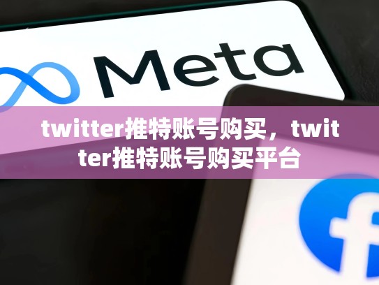 twitter推特账号购买，twitter推特账号购买平台