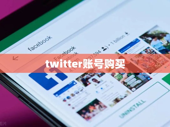 twitter账号购买