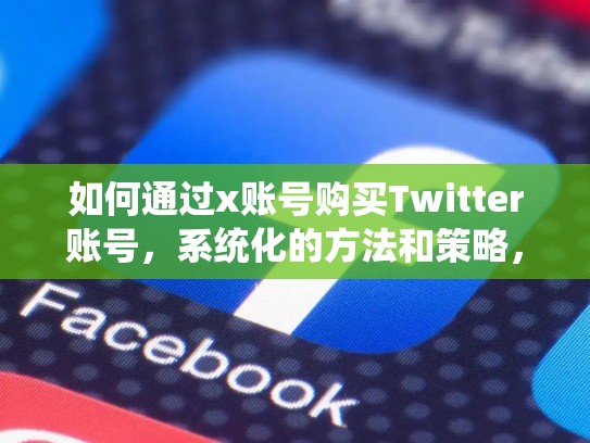 如何通过x账号购买Twitter账号，系统化的方法和策略，推特买账号