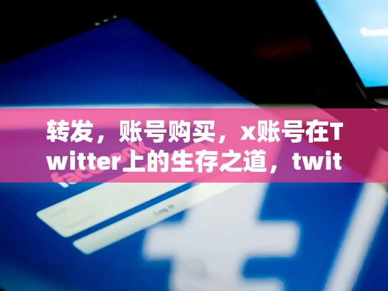 转发，账号购买，x账号在Twitter上的生存之道，twitter号码购买