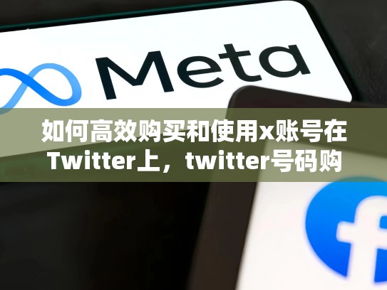 如何高效购买和使用x账号在Twitter上，twitter号码购买
