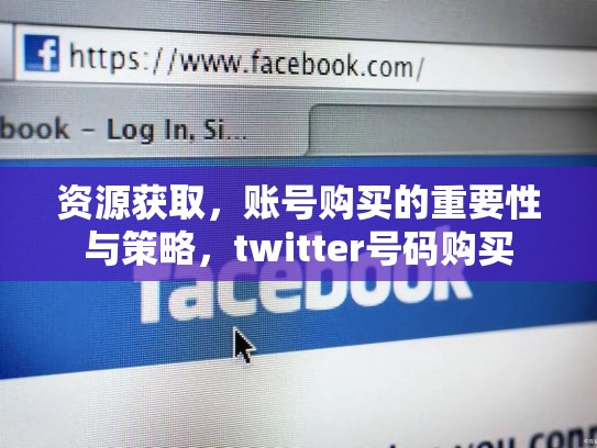 资源获取，账号购买的重要性与策略，twitter号码购买