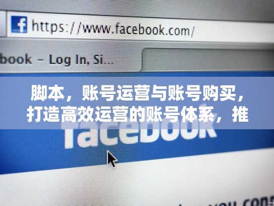 脚本，账号运营与账号购买，打造高效运营的账号体系，推特买账号