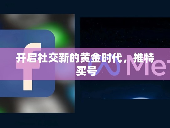 开启社交新的黄金时代，推特 买号