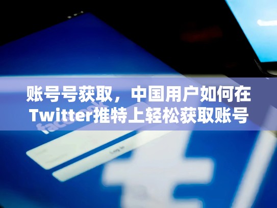 账号号获取，中国用户如何在Twitter推特上轻松获取账号号，twitter账号购买平台