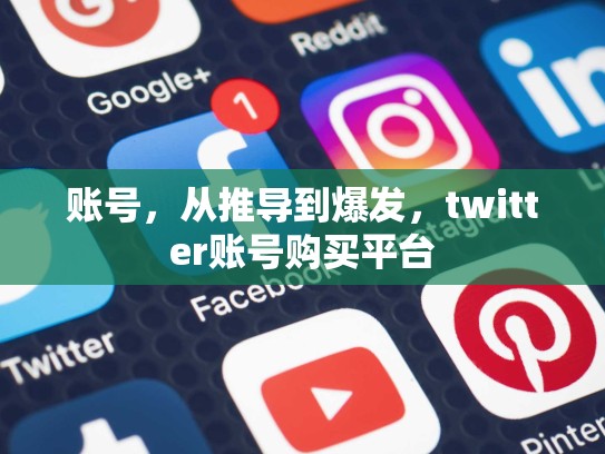 账号，从推导到爆发，twitter账号购买平台