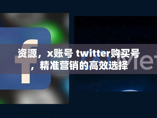 资源，x账号 twitter购买号，精准营销的高效选择