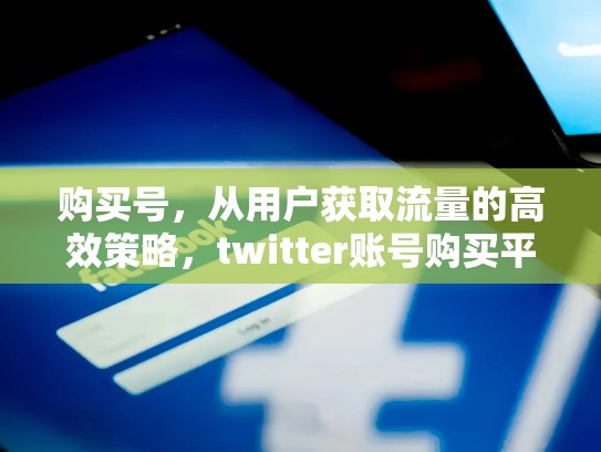 购买号，从用户获取流量的高效策略，twitter账号购买平台