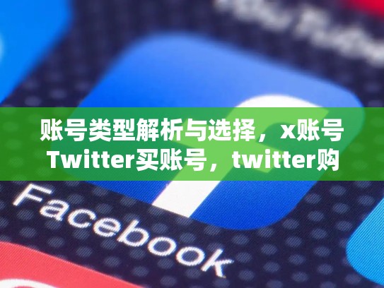 账号类型解析与选择，x账号Twitter买账号，twitter购买账号
