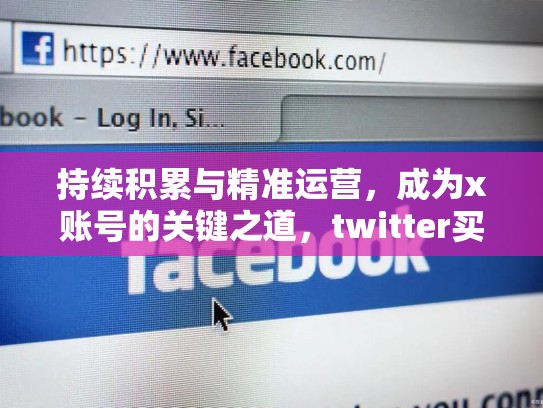 持续积累与精准运营，成为x账号的关键之道，twitter买号