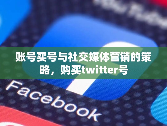 账号买号与社交媒体营销的策略，购买twitter号