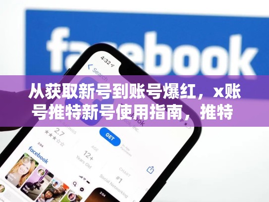 从获取新号到账号爆红，x账号推特新号使用指南，推特 买号