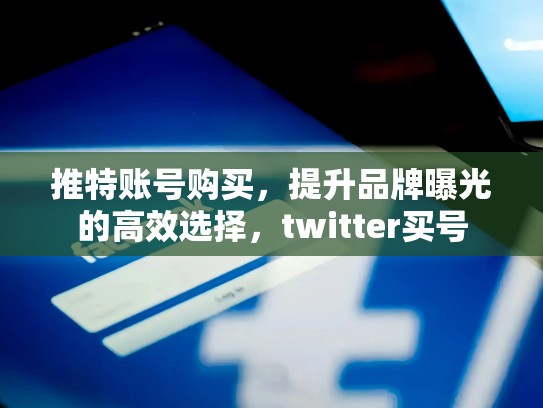 推特账号购买，提升品牌曝光的高效选择，twitter买号