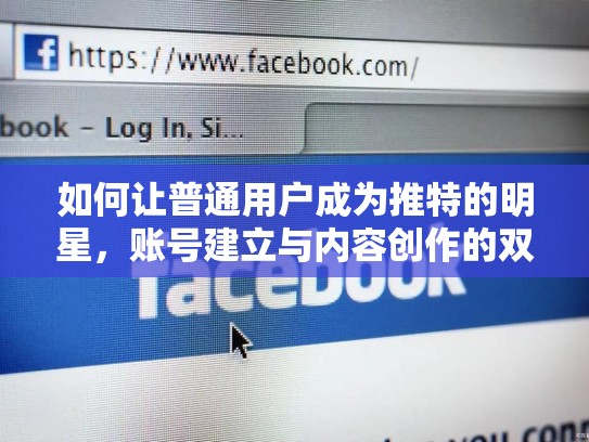如何让普通用户成为推特的明星，账号建立与内容创作的双轮驱动，推特 买号