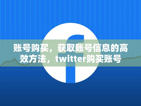 账号购买，获取账号信息的高效方法，twitter购买账号