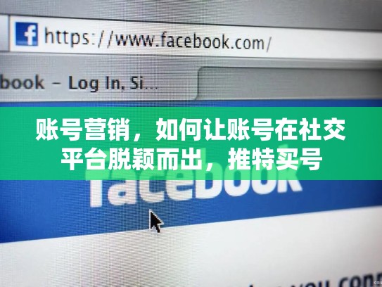 账号营销，如何让账号在社交平台脱颖而出，推特买号