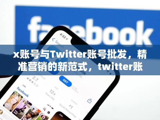 x账号与Twitter账号批发，精准营销的新范式，twitter账号出售
