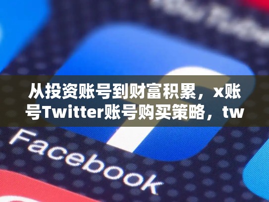 从投资账号到财富积累，x账号Twitter账号购买策略，twitter号码购买