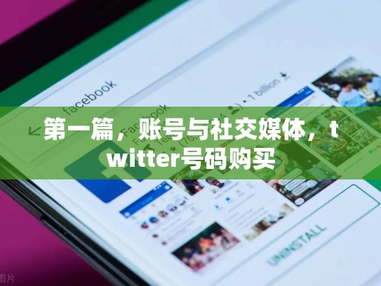 第一篇，账号与社交媒体，twitter号码购买