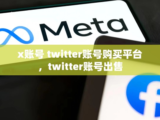 x账号 twitter账号购买平台，twitter账号出售