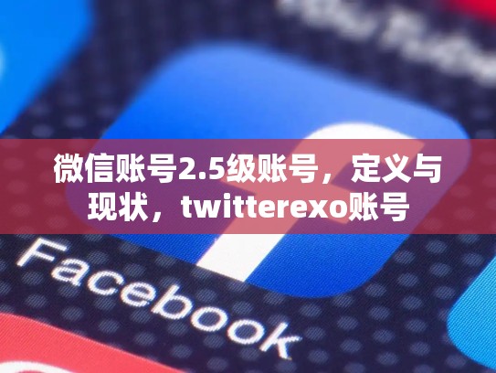 微信账号2.5级账号，定义与现状，twitterexo账号