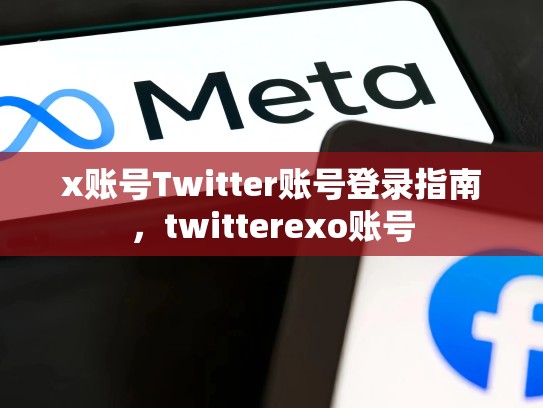 x账号Twitter账号登录指南，twitterexo账号