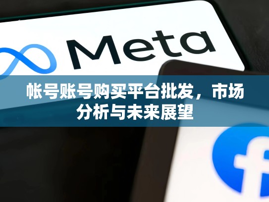 帐号账号购买平台批发，市场分析与未来展望