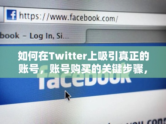 如何在Twitter上吸引真正的账号，账号购买的关键步骤，twitter账号怎么购买