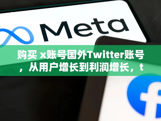 购买 x账号国外Twitter账号，从用户增长到利润增长，twitter海外账号